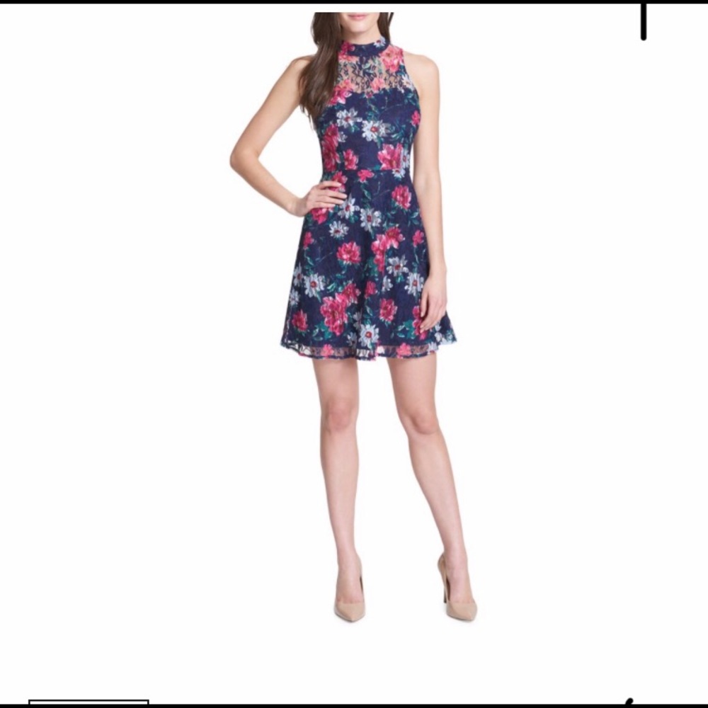 Kensie lace dress